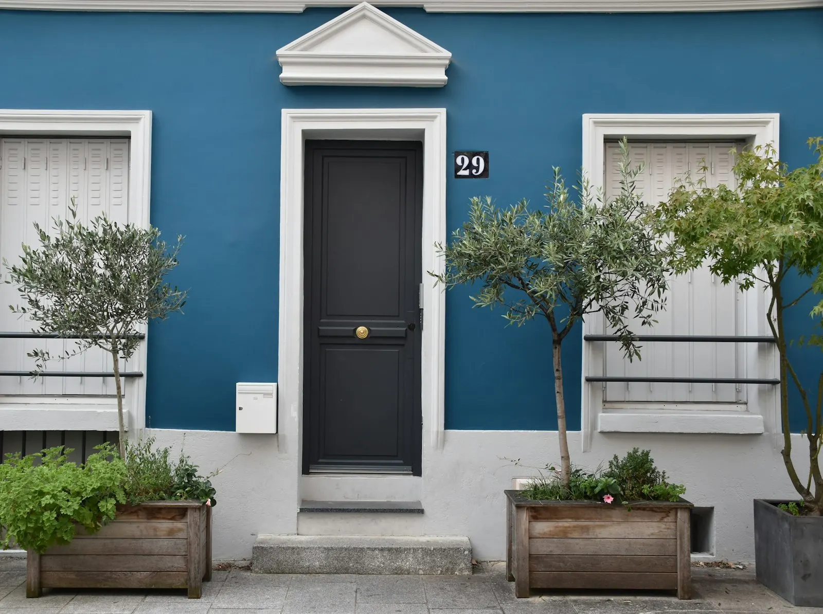 The front door of a house with plants either side