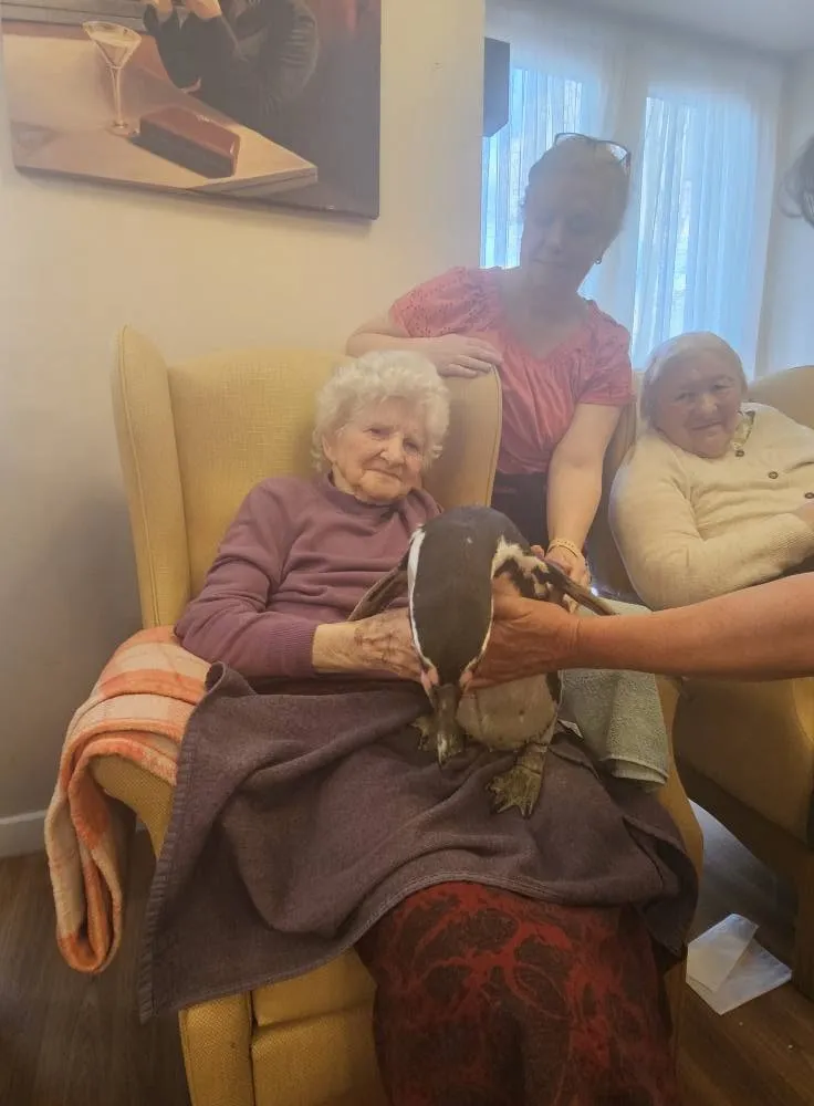 Two residents watching a penguin up close during an animal visit
