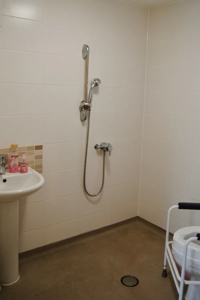 An en-suite wet room with a level-access shower, grab rails and a washbasin