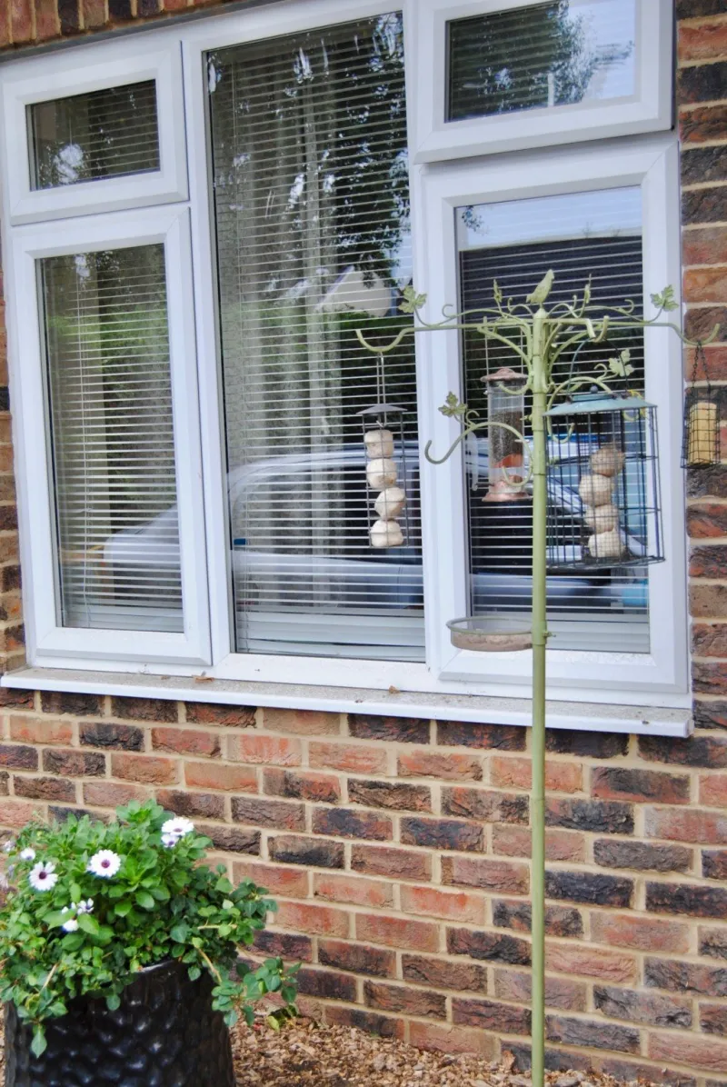A ground-floor window with a bird feeder and a pot of white flowers outside